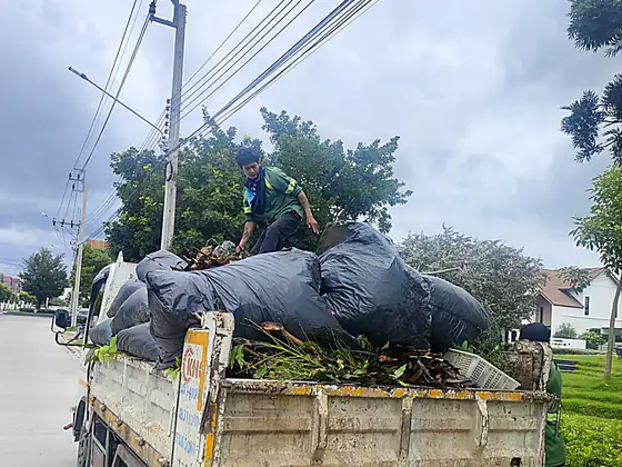 ขนกิ่งไม้และถุงเศษใบไม้ นนทบุรี